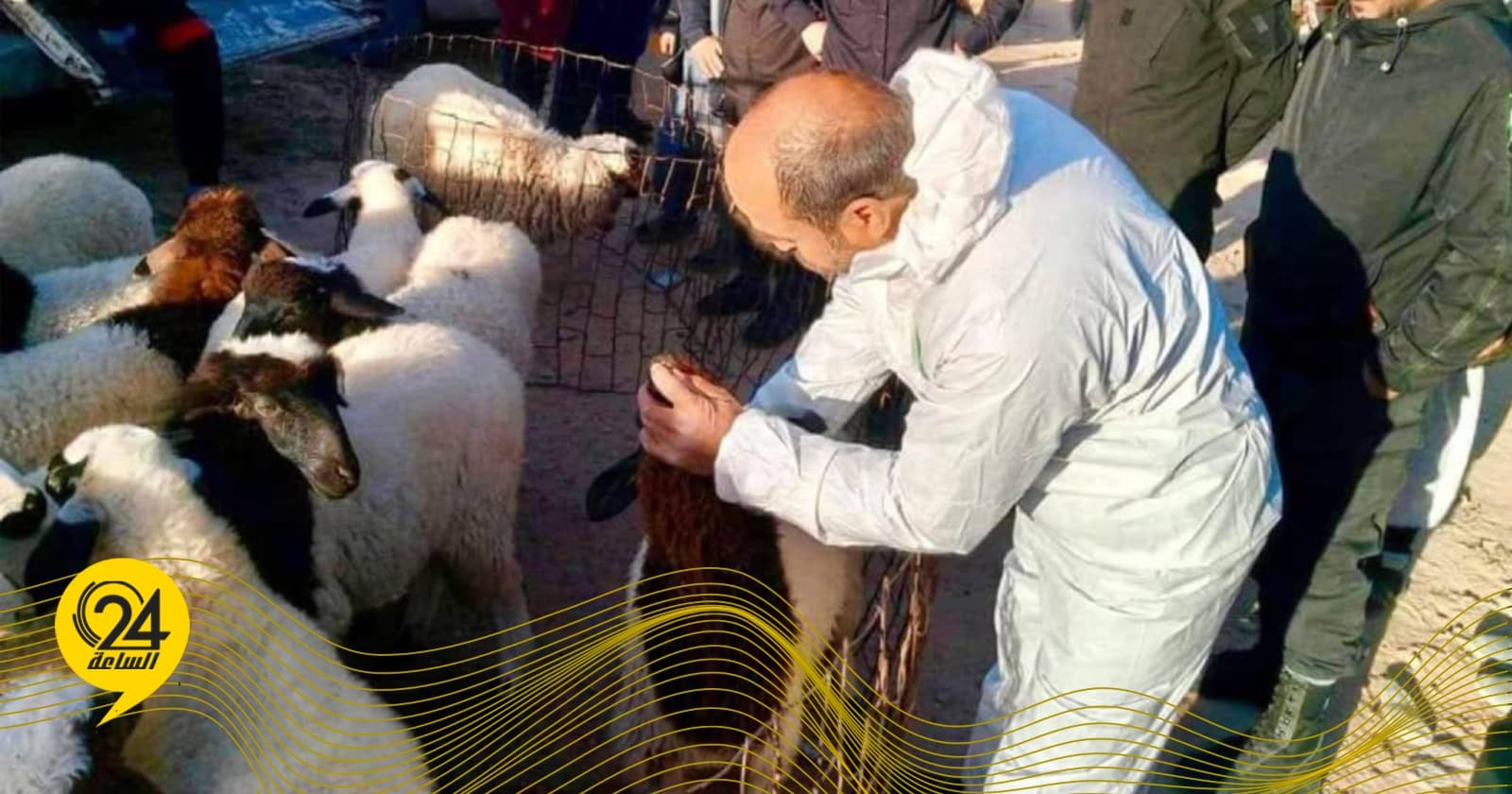 Director of 'Animal Health' confirms ongoing efforts to contain foot-and-mouth disease outbreak