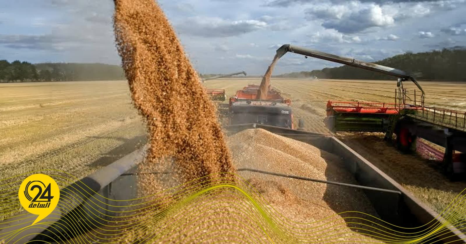 FAO: Libya Grain Decline May Reach 3.3M Tons