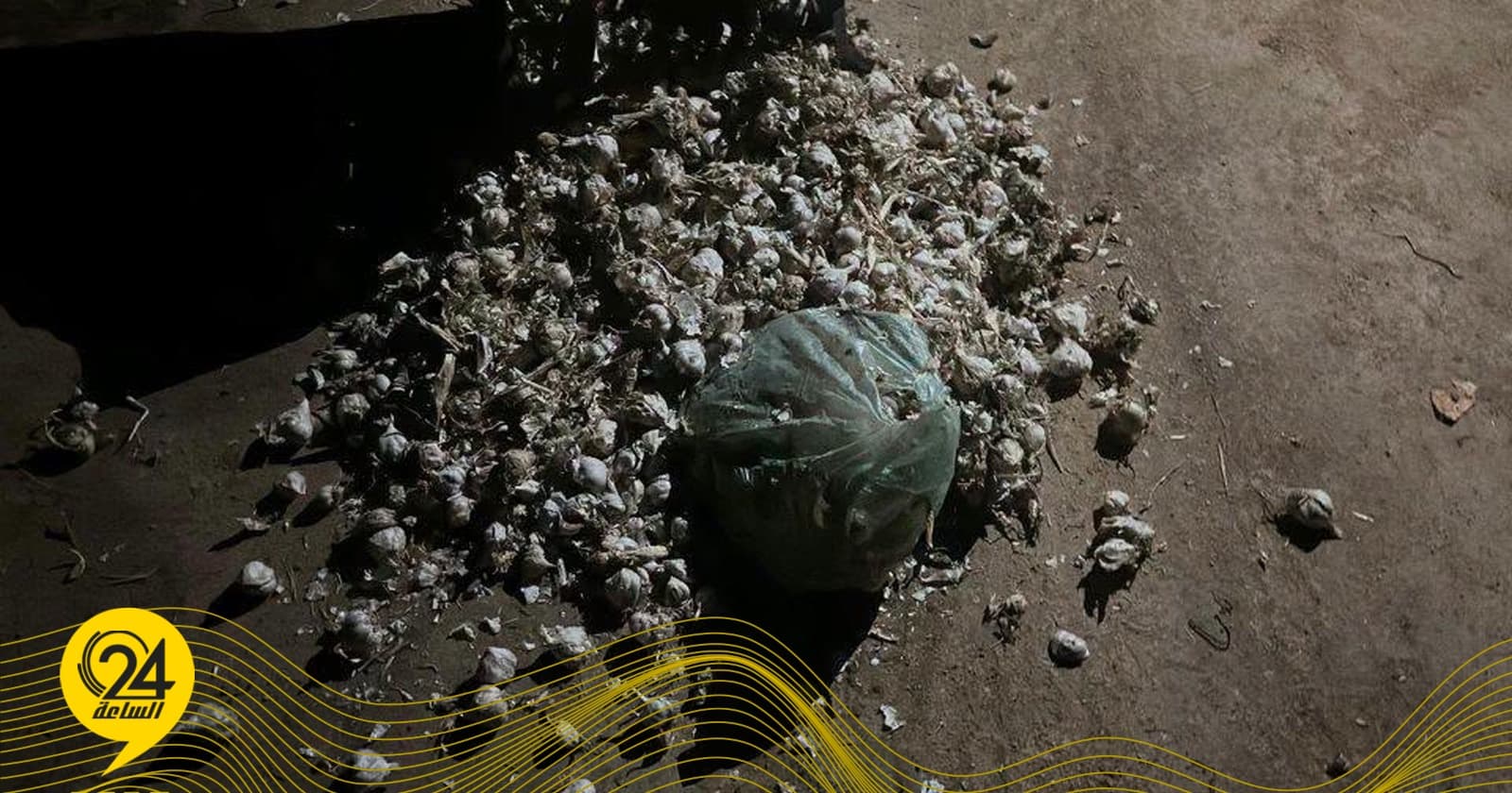 Detention of illegal migrants and violation of vegetable warehouse in Shahat