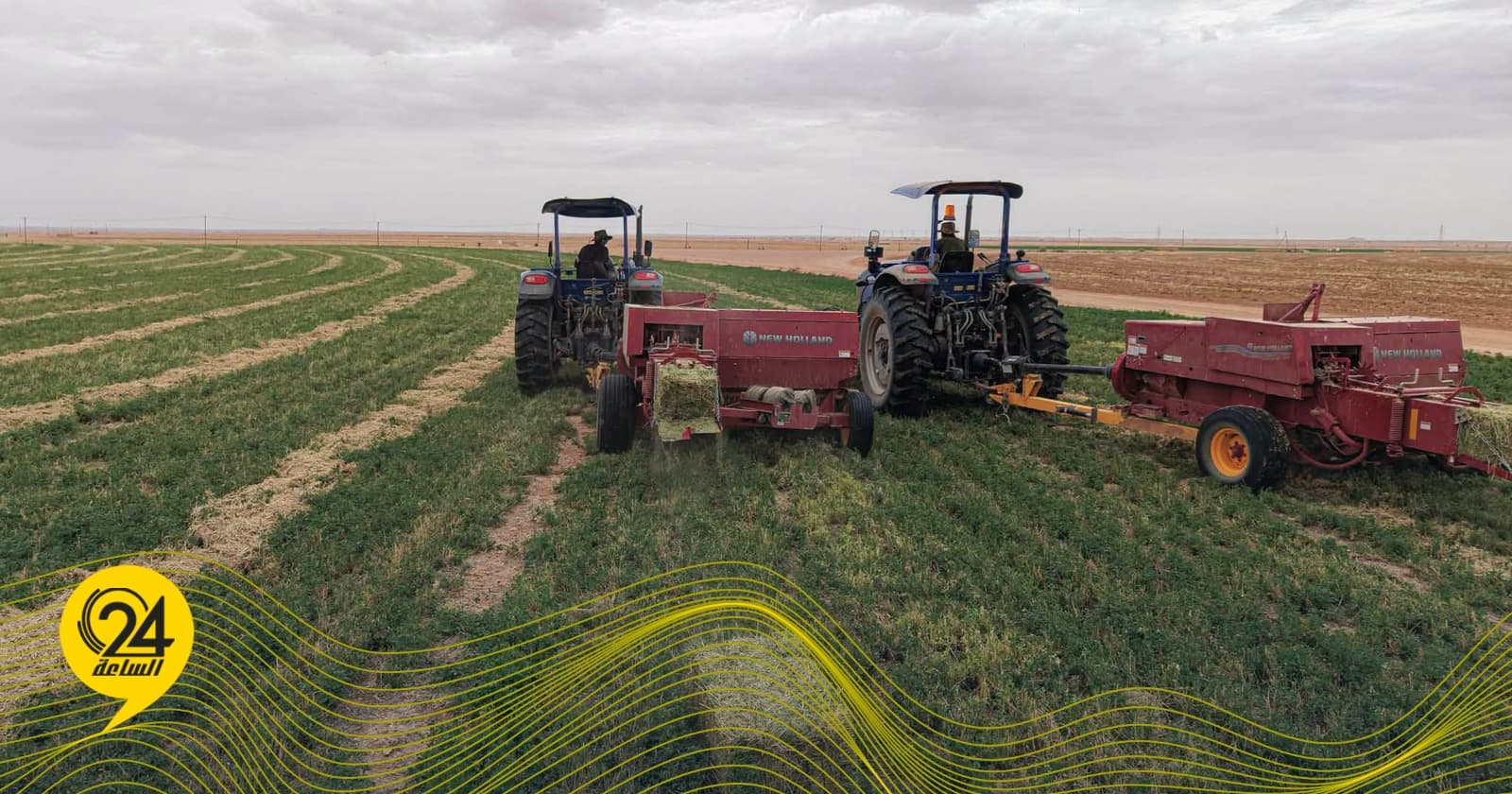 الوطني للتنمية يتوقع موسم حصاد لمشروع الدبوات الزراعي