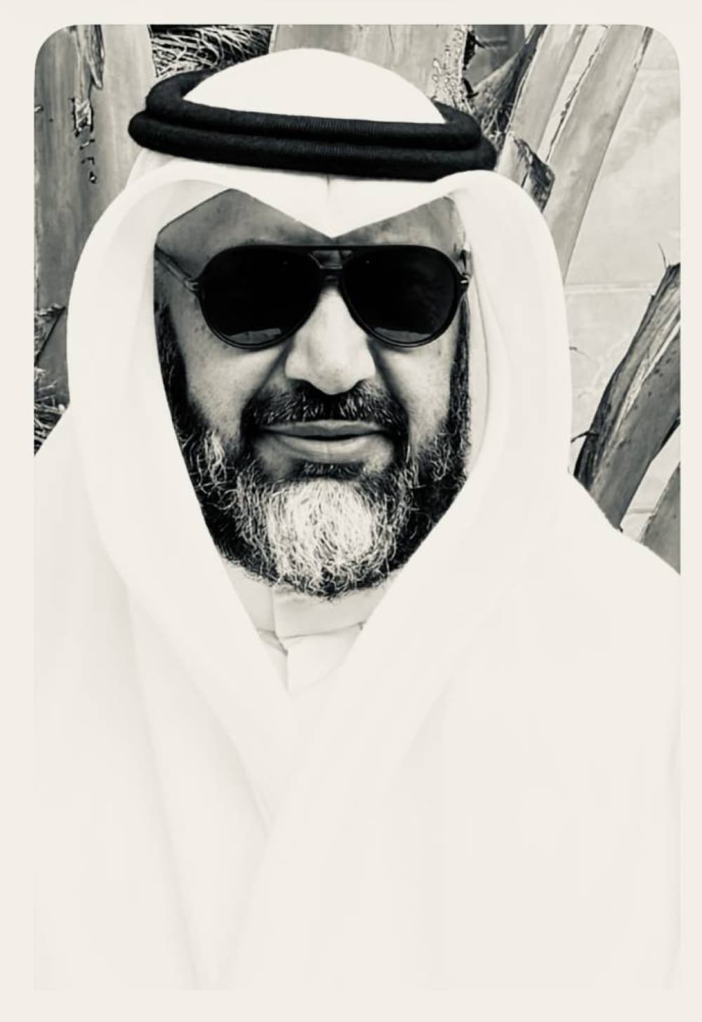 الصلابة الداخلية لوطن المجد