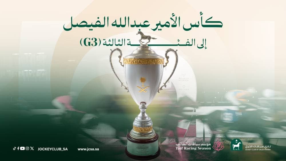 King Abdullah Al Faisal Cup advances to third division