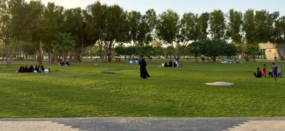 Kingdom's parks grow 4 to 8,249