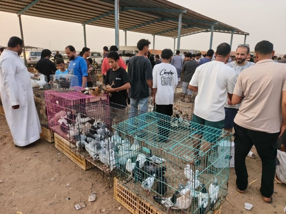Summer boosts bird markets in Jazan