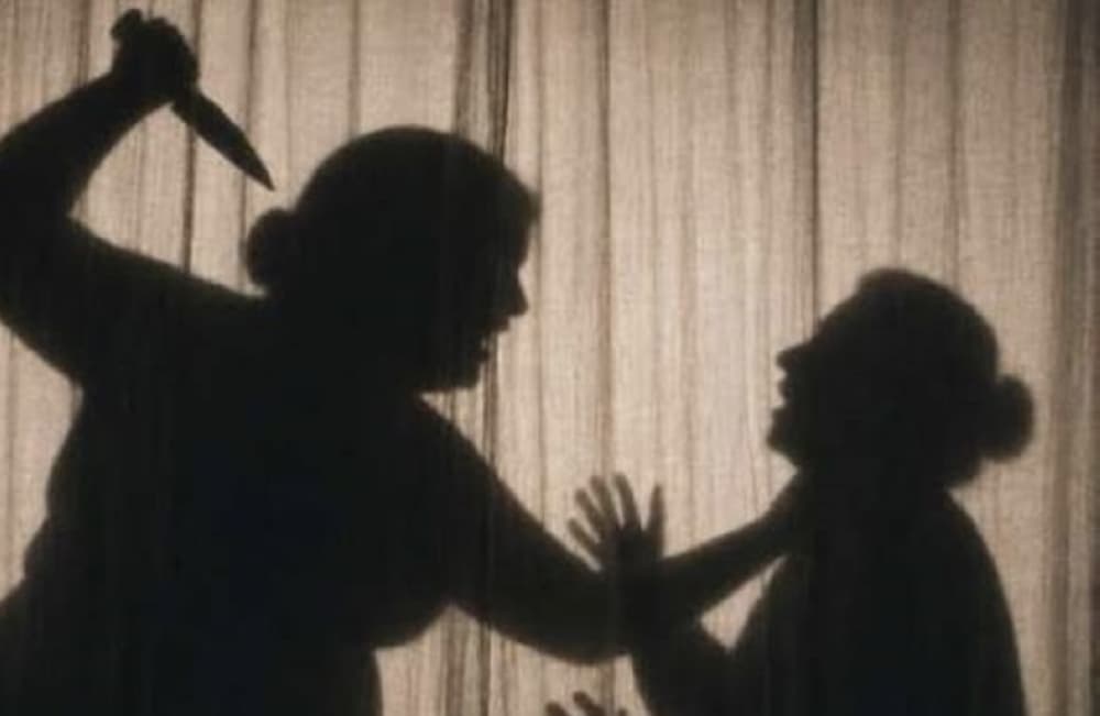 Mother-killer explains motives