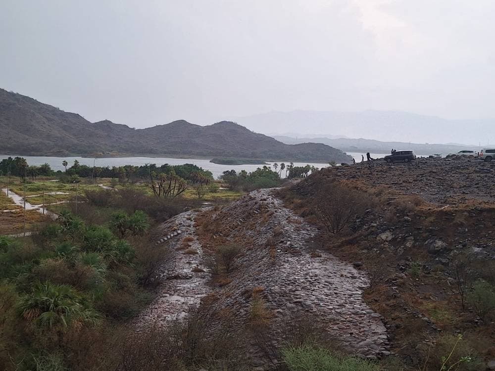 Rain affects Jazan