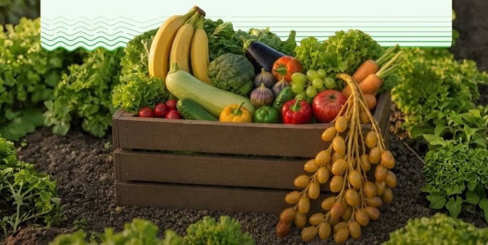 Effort to Minimize Food Waste