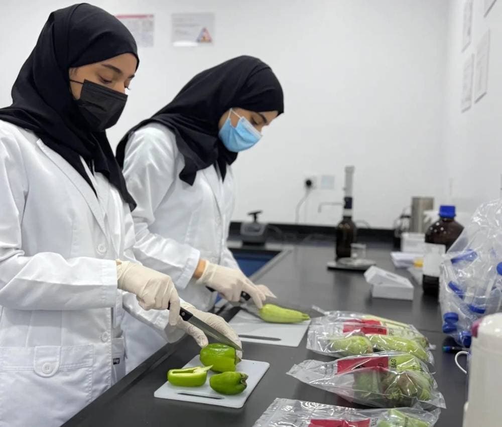 أنظمة تتبع تراقب المنتجات الغذائية