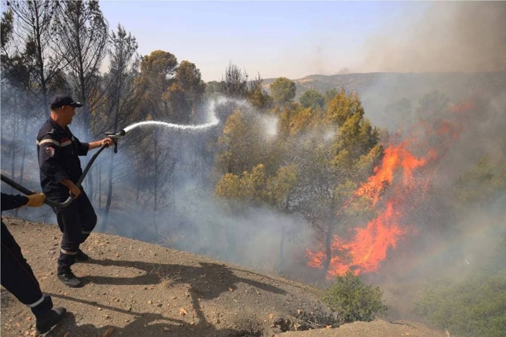 Algeria Faces Suspected Rise in Arson