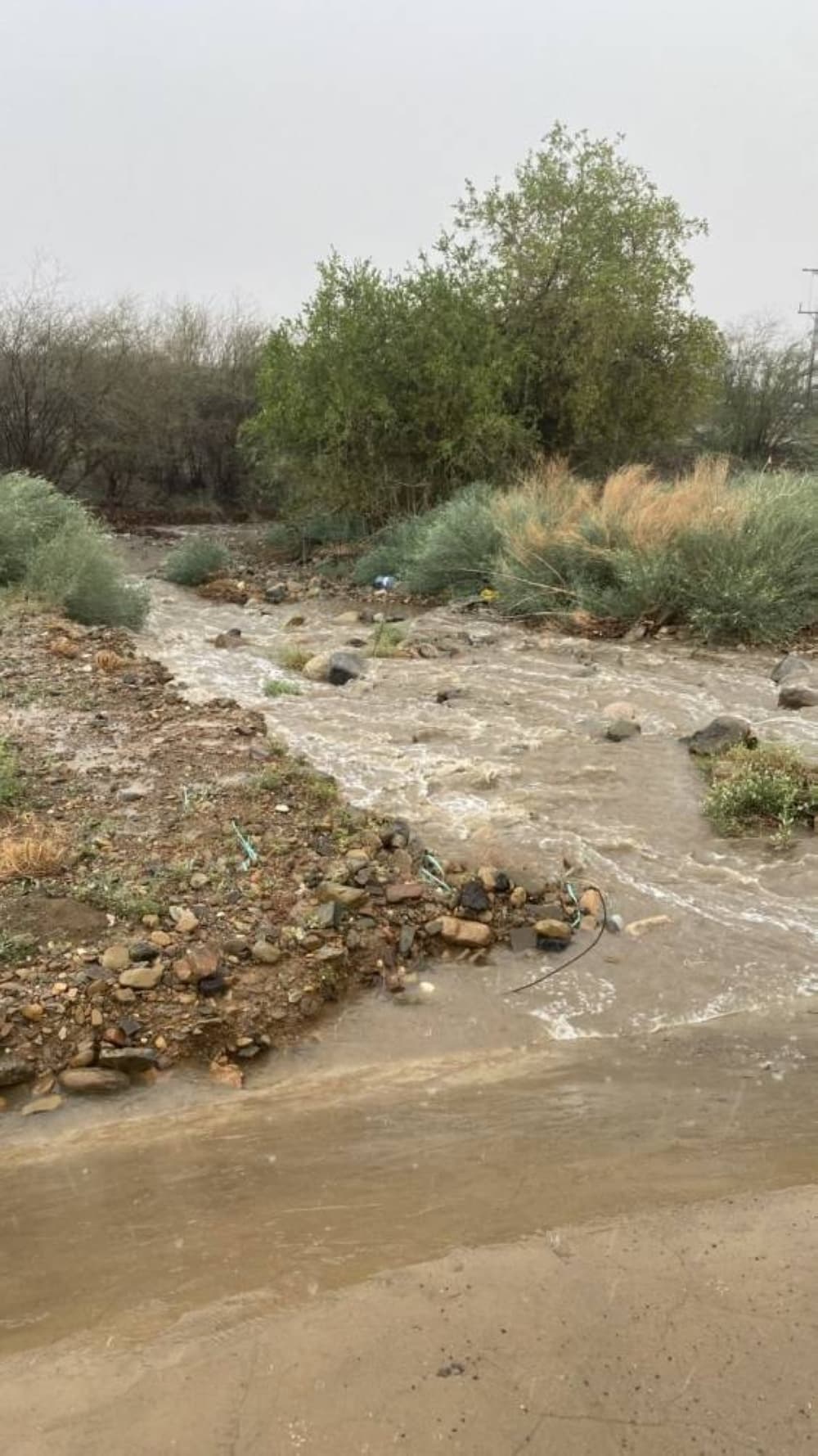 Heavy rains and red alert in Jazan Mountains