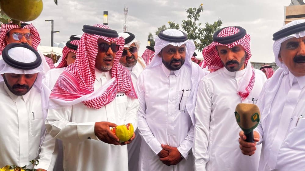 6th Pomegranate Festival opens in Sar'a Abeeda