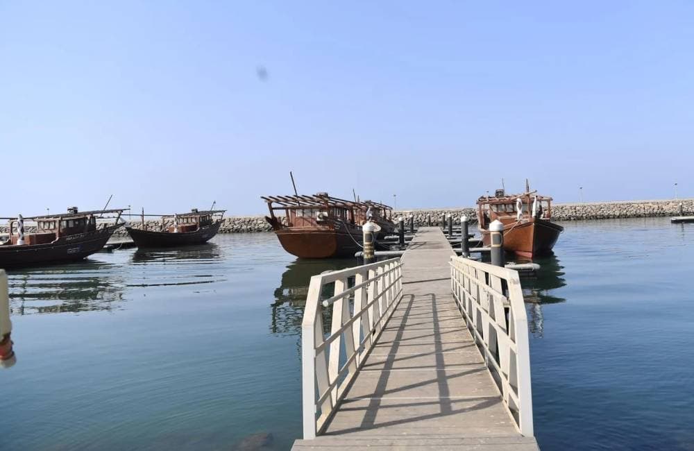 Urgent 30-Day Deadline for Jazan Boat Conditions