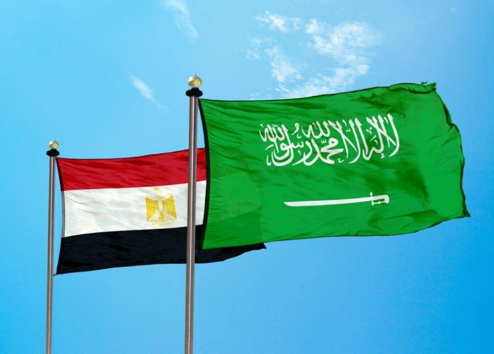 مشاركة الرياض والقاهرة تتجاوز 82 مليار دولار