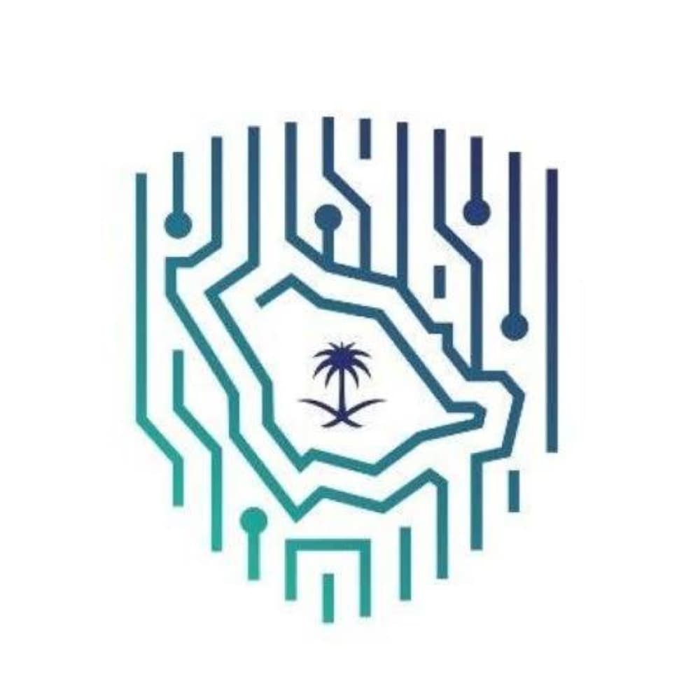 Saudi digital metrics surpass 97 points