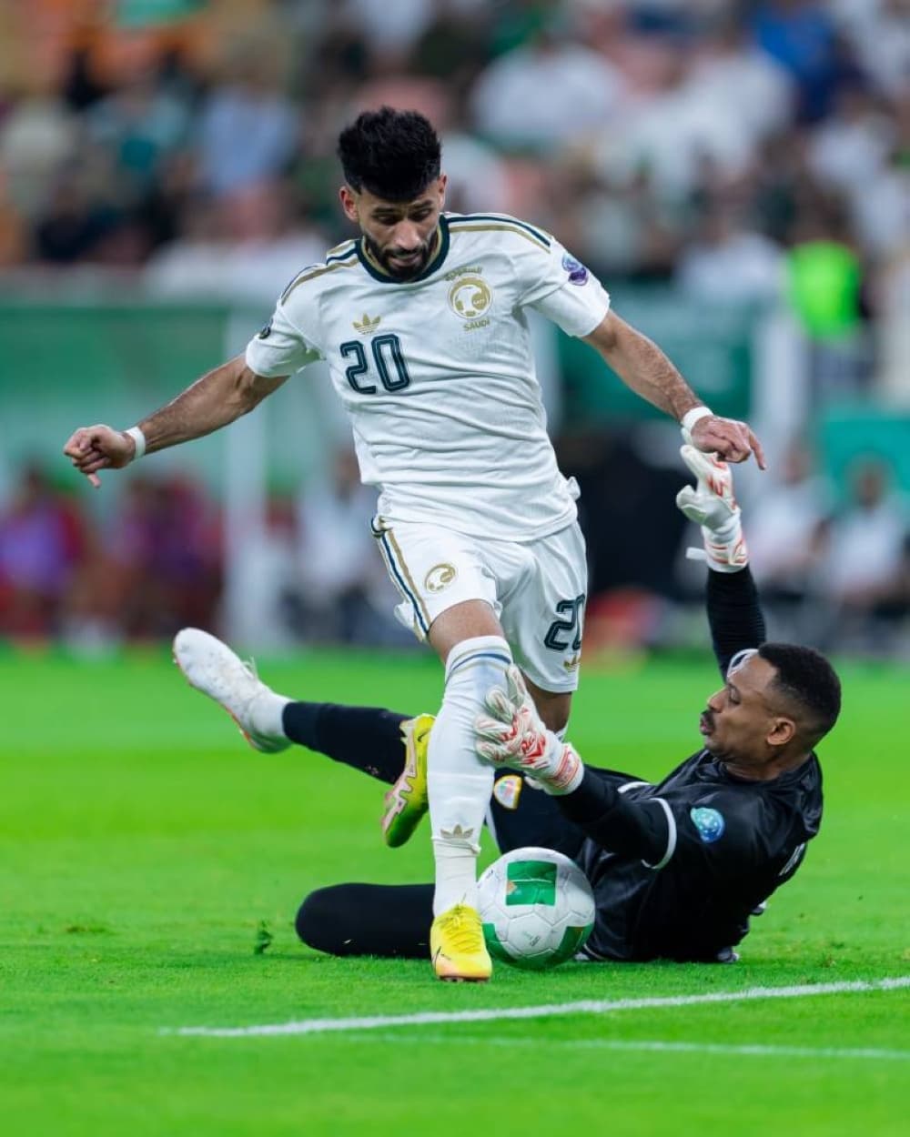 الصقور يكملون 47 عاما من الصيام