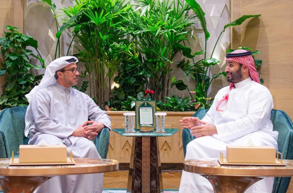 UAE Crown Prince and VP discuss regional issues