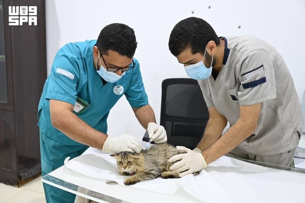 Pet vaccination initiative