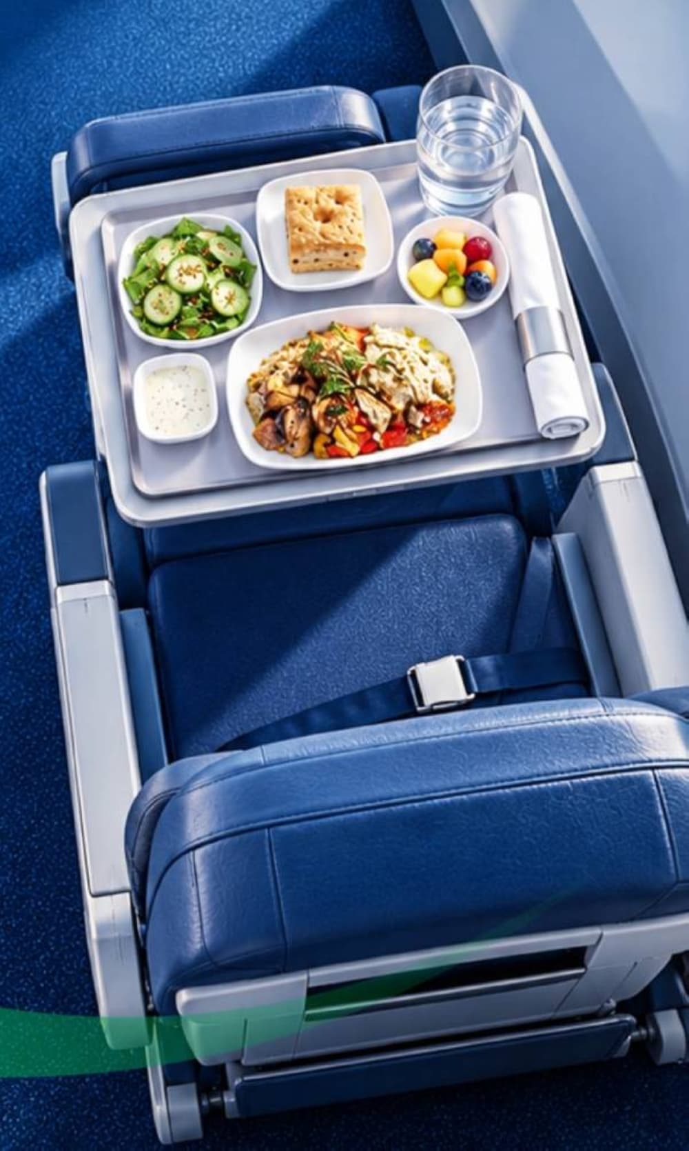 Aviation Meal Rationing Affects 1.9 Million