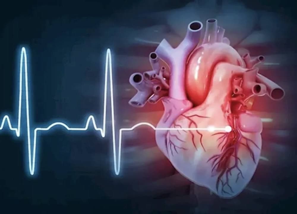 Women face limited access to advanced heart therapies