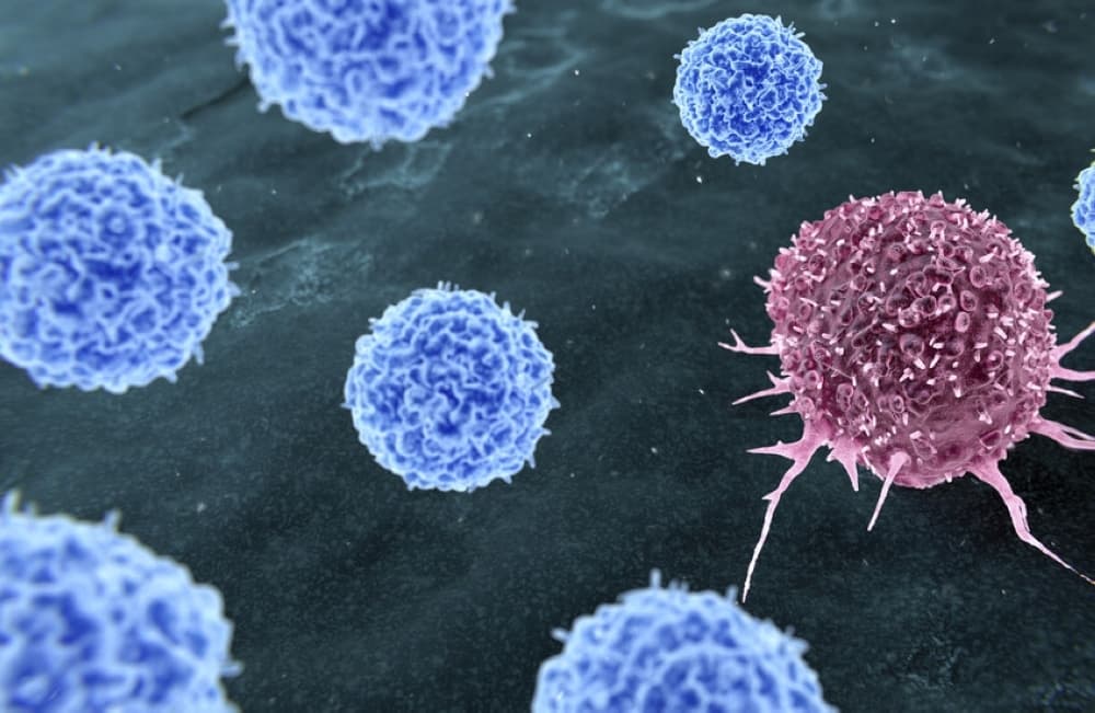 Infection Linked to 8 Cancer Cases
