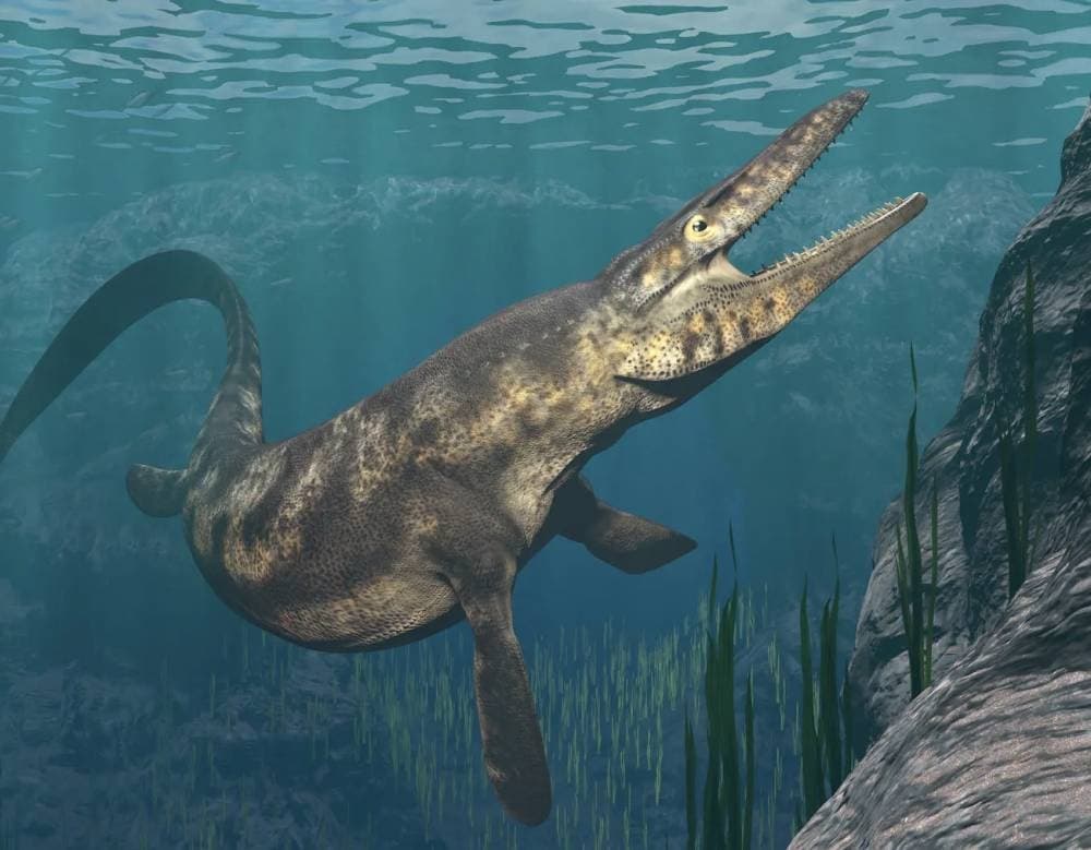 Ancient fossil reshapes dinosaur history