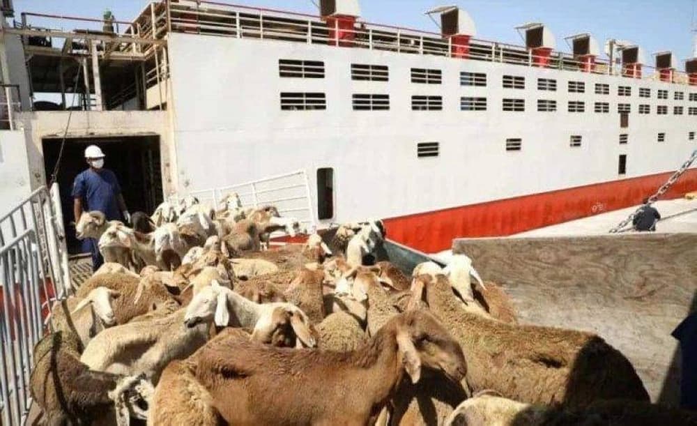 Guide to Livestock and Product Transfer