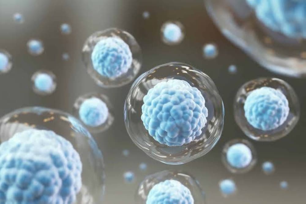 Scientists revive cells in octogenarian