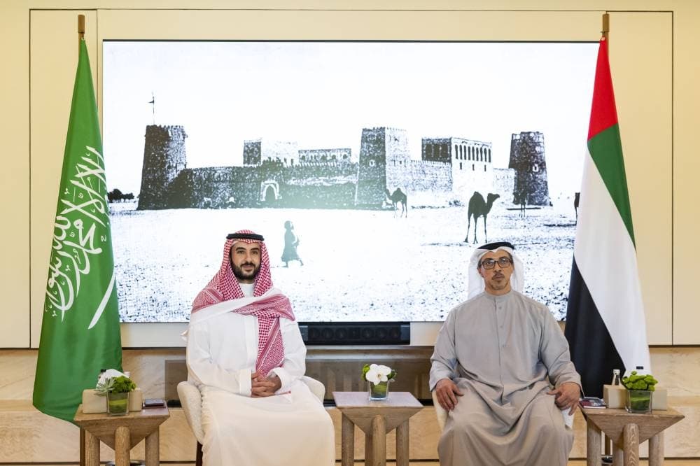 وزير الدفاع ونائب الإمارات يناقشان التعاون والأمن