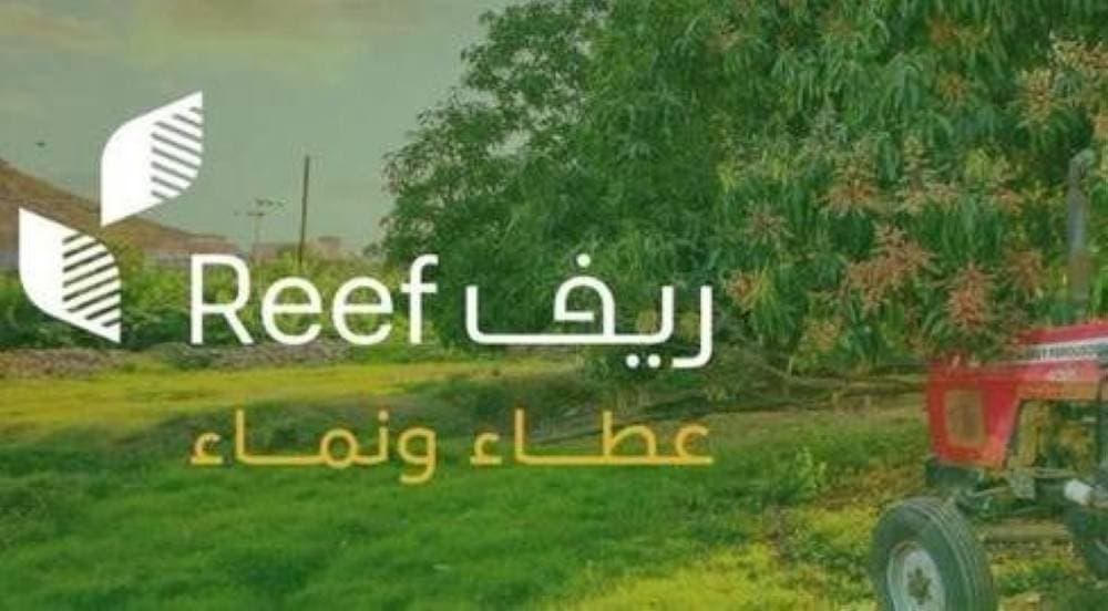 Saudi rural areas drive billions in agriculture