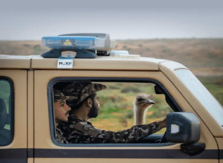ضبط مخالف يشتعل النار في محمية طويق غرامة تصل إلى 3 آلاف ريال