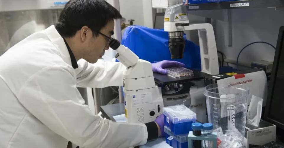 Immunotherapy Offers Bladder Cancer Option