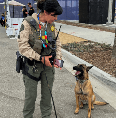 2026 World Cup Unusual Security Measures
