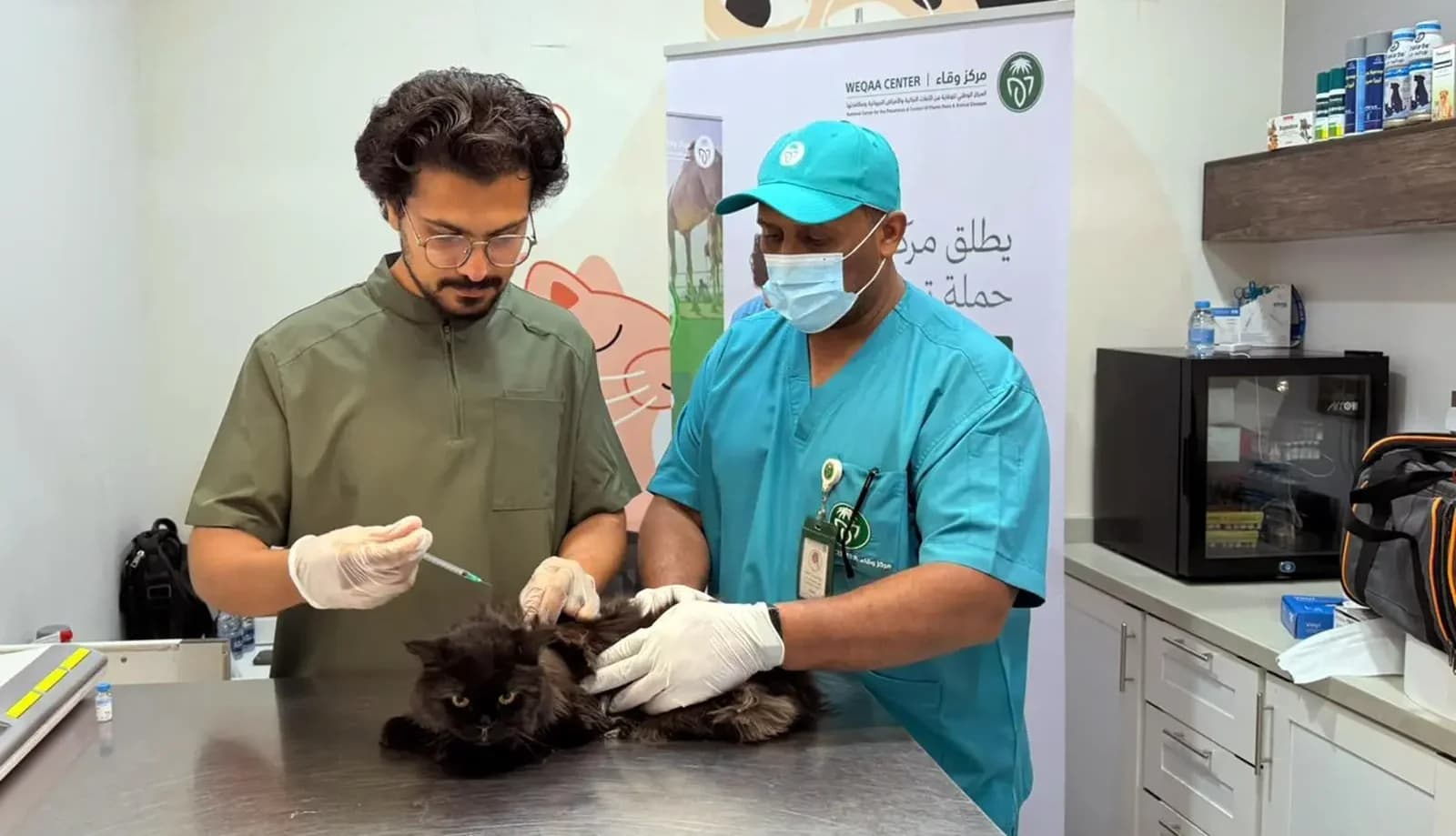 Pet rabies vaccination drives launched