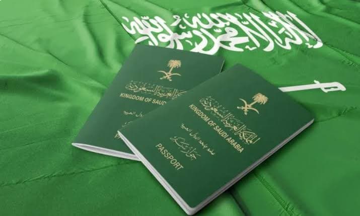 حكومة المملكة تعلن عن حوكمة رقمية وتأشيرة التدريب لتنظيم دخول الزوار