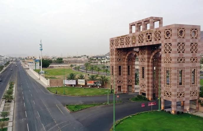 جامعة طيبة تبدأ تقديم دبلومات عن بعد