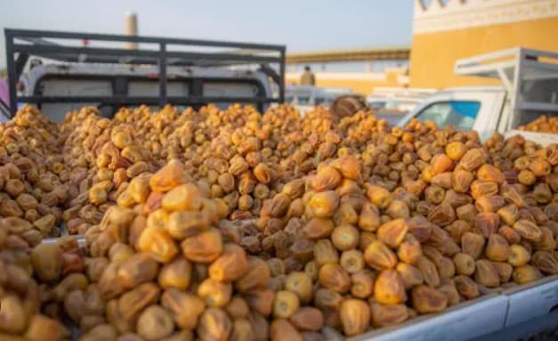 Buraidah Carnival Showcases Qassim's Leadership