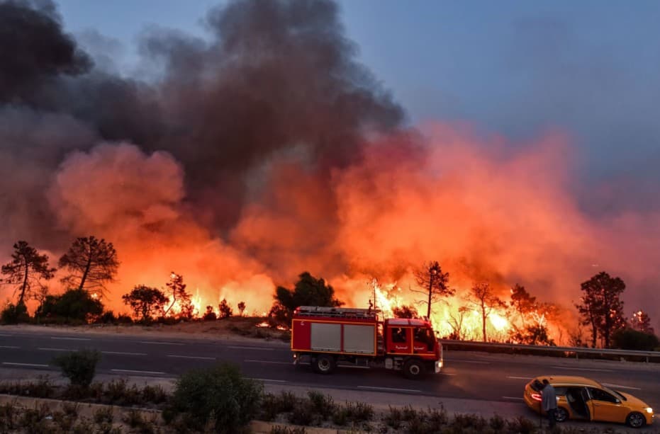 Algeria Faces Widespread Wildfires