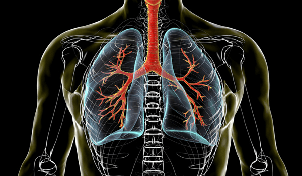 Diet's impact on COPD lung health