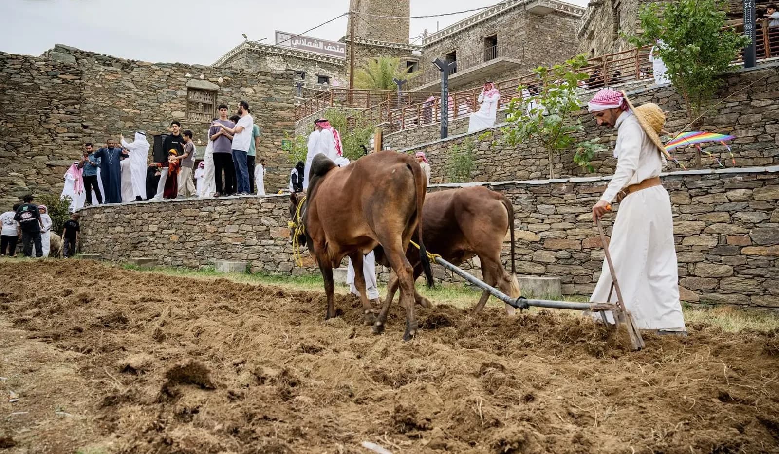Al-Otala Festival Revives Agricultural Traditions