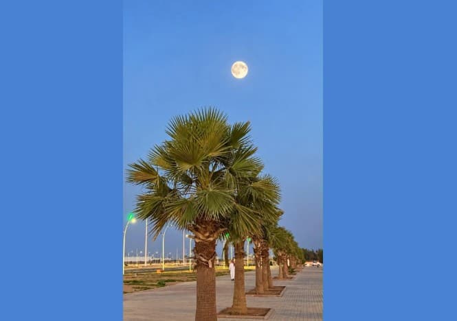 Full Moon Lights Up Kingdom Skies