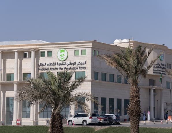 فرص استثمارية في الغطاء النباتي تتجاوز 500 مليون ريال