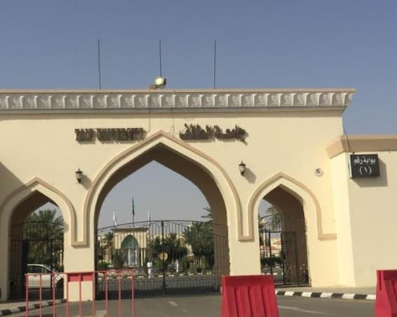 Taif University Remote Classes Begin at Noon