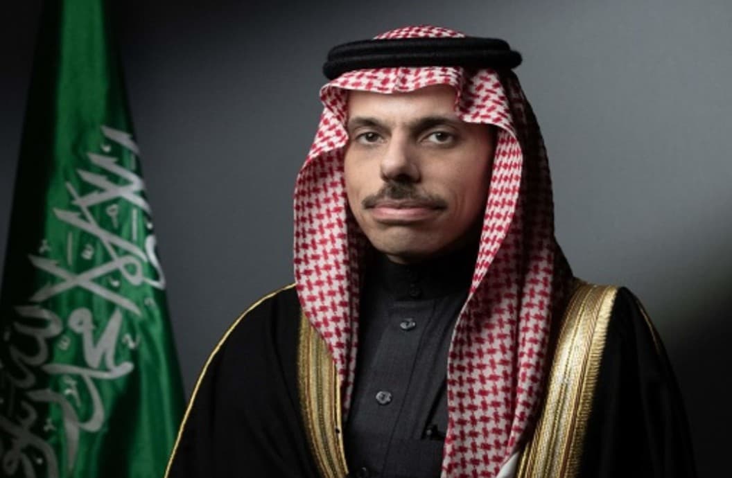 وزير الخارجية يبحث مع نظيره الباكستاني الأوضاع الإقليمية