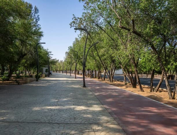 Najran's King Fahd Park Walkway Enhances Life