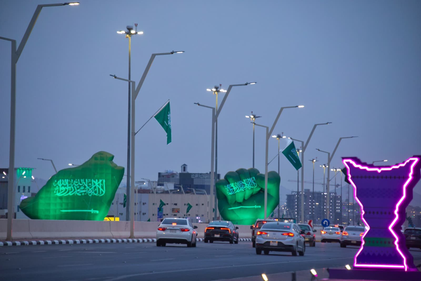 احتفالات الوطن في حائل بالصور