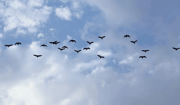 بداية الخريف في المملكة رسمياً