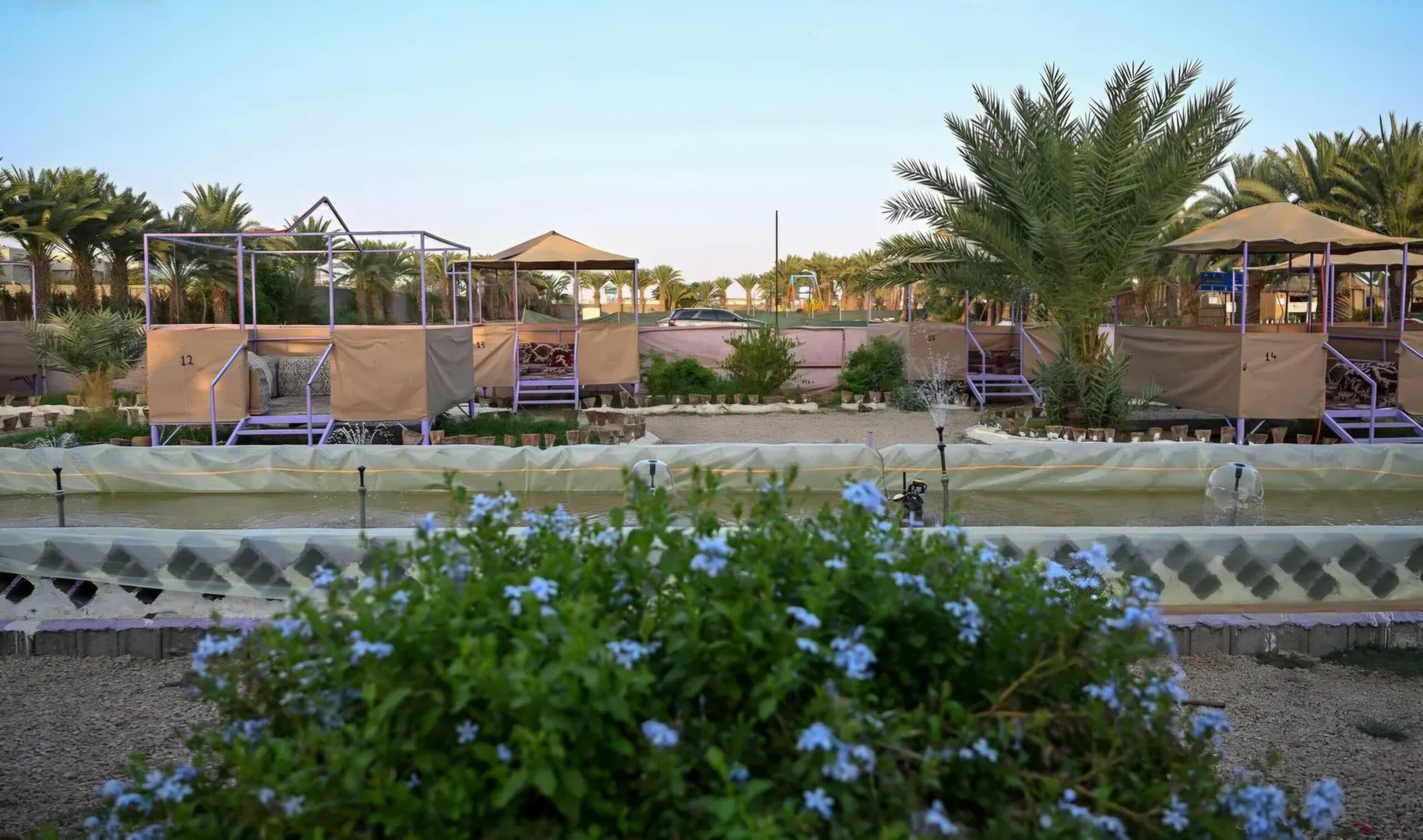 Najran farms thrive with agricultural tourism