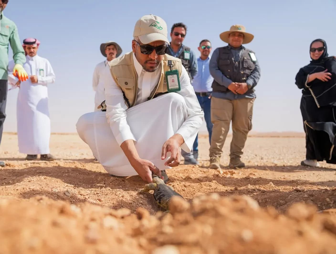 إطلاق أكثر من 140 ضبًا في محمية الإمام عبدالعزيز