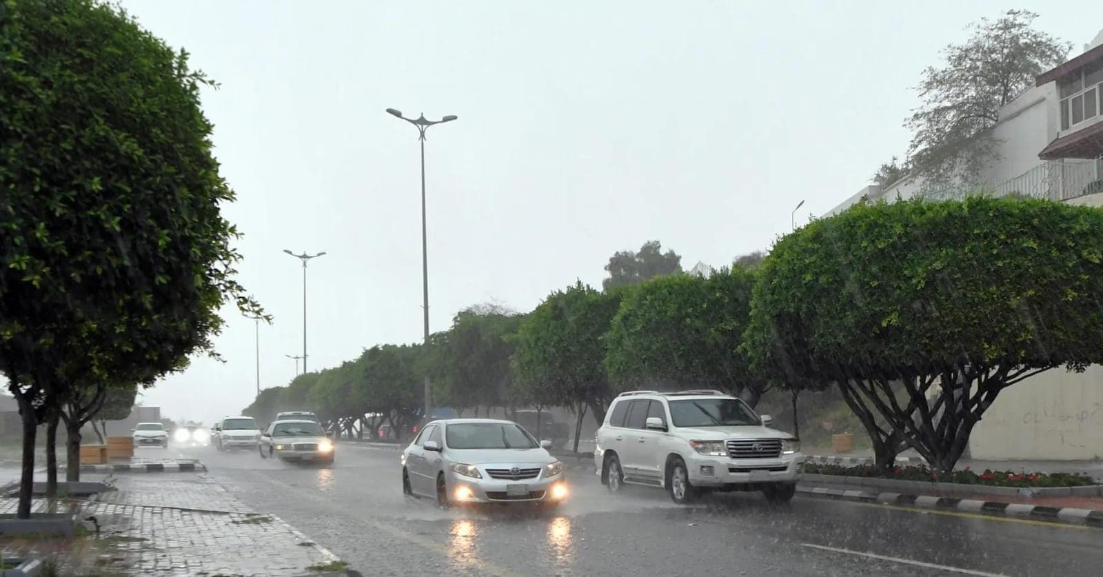 أمطار رعدية وسيول في المملكة