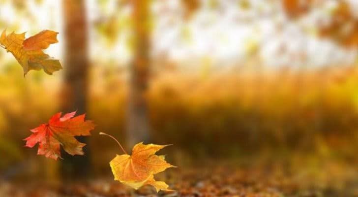 Autumn 2026 Begins Financially